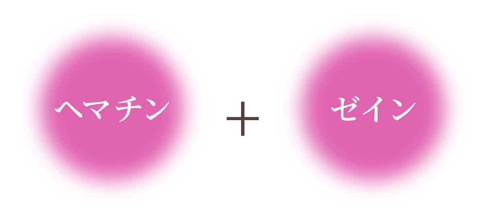 ヘマチン＋ゼイン