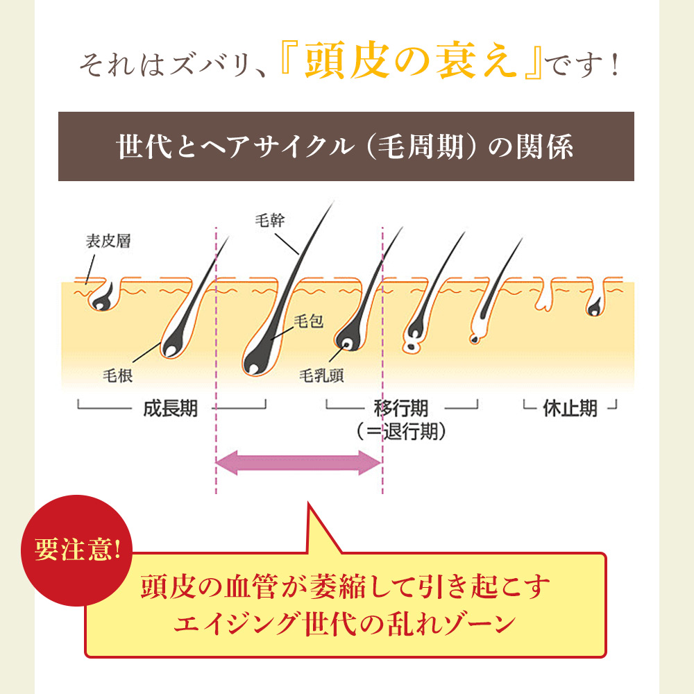 それはズバリ、『頭皮の衰え』です！