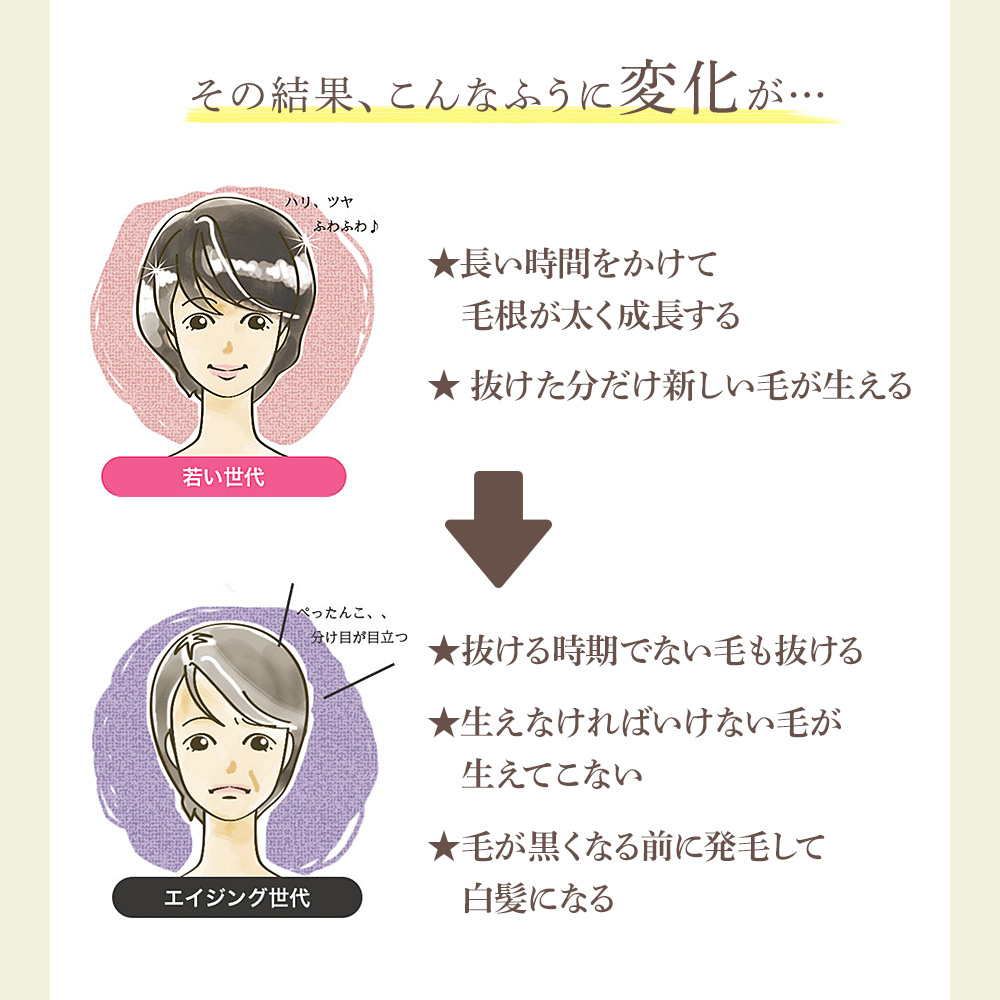 その結果、若い世代は、長い時間をかけて毛根が太く成長し、抜けた分だけ新しい怪我生えるのにたいし、エイジング世代は抜ける時期でない怪我抜ける、生えてこなければいけない毛が生えてこない、毛が黒くなる前に発毛して白髪になる