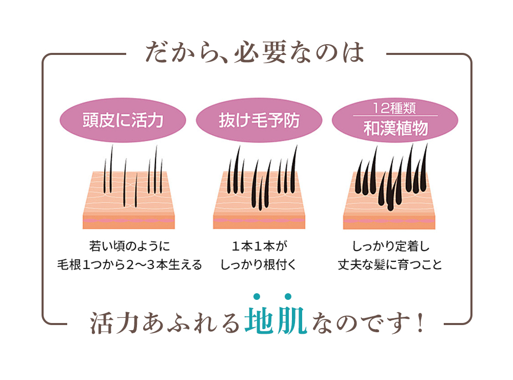 だから、必要なのは活力あふれる地肌なのです