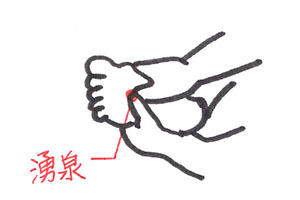 ファイテン メタックスローション