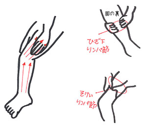ファイテン メタックスローション