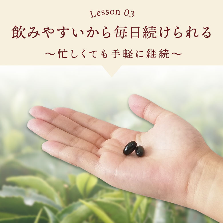 美容健康サポート 高ポリフェノール 低カフェイン アフリカツバキ茶 SODスーパージュアール