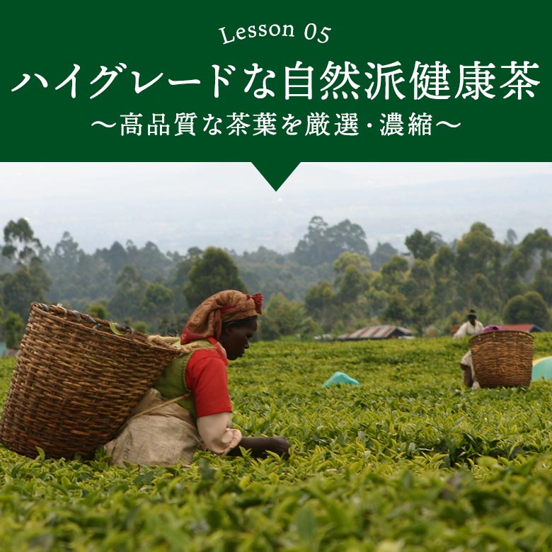 美容健康サポート 高ポリフェノール 低カフェイン アフリカツバキ茶 SODスーパージュアール