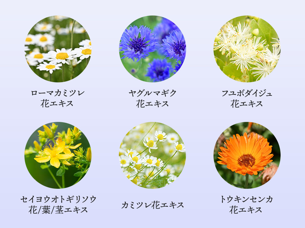 6種類の植物エキス